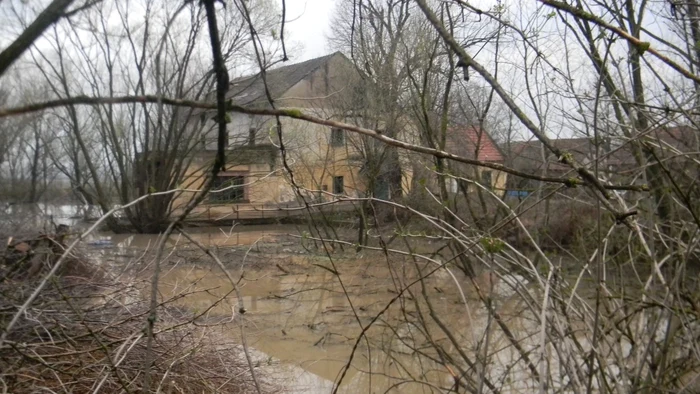 Mai multe terenuri din Valea Pogănişului şi Bârzavei au fost inundate FOTO CRISTIAN FRANŢ