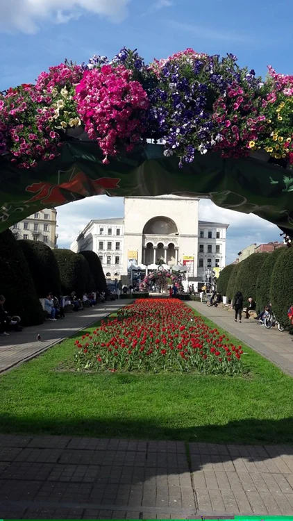 Peste 320.000 de flori au inundat centrul Timişoarei FOTO Ş. Both