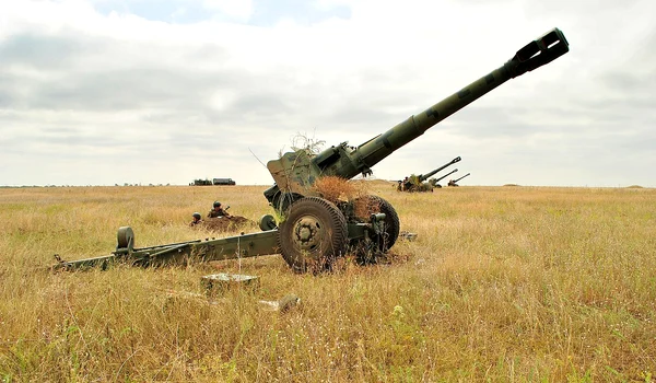 Obuzierul D-20 (© Wikimedia Commons)