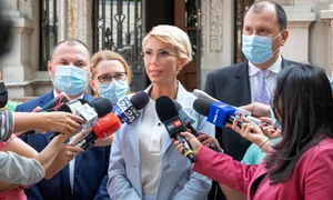 raluca turcan delaratii presa jpeg