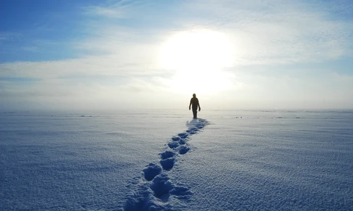 iarnă  foto   Shutterstock jpg