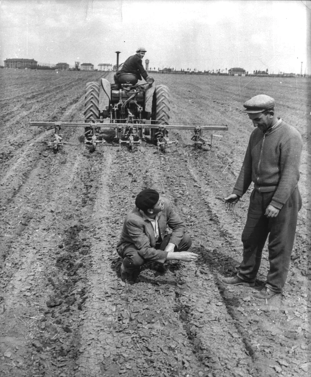 Muncitori pe camp FOTO Azopan