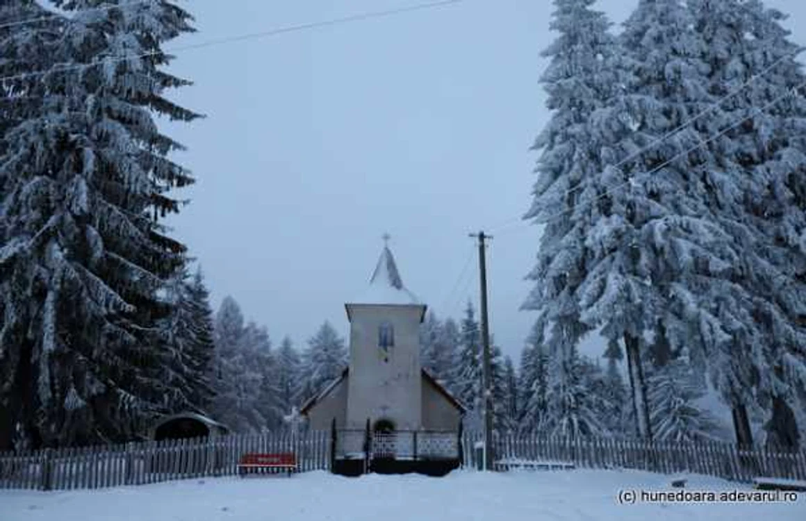 poiana rachitelii foto daniel guta adevarul