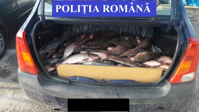 peste