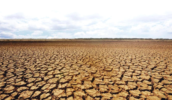 
    Așa arată unele terenuri agricole din județul Constanța unde nu a mai plouat de șase luni  