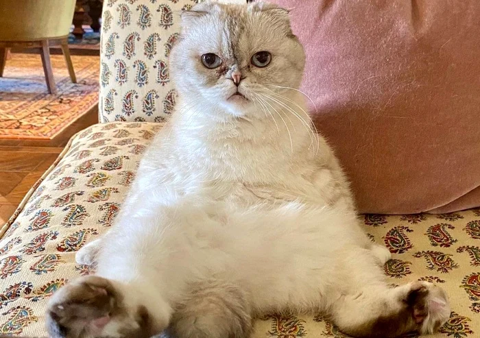 Olivia valorează 97 de milioane de dolari (foto: Instagram)