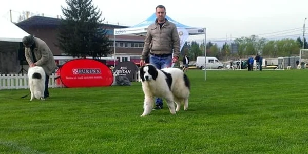 Radu Tudor