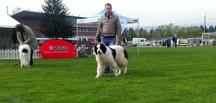 Radu Tudor, alăturide unul dintre câinii pe care-i creşte                        FOTO: Arhiva personală R.T.