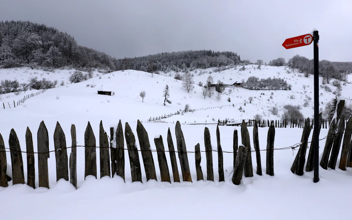 Fundătura Ponorului, pustie în liniștea iernii. Foto: Daniel Guță