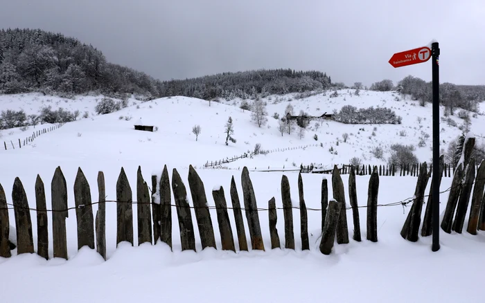Fundătura Ponorului, pustie în liniștea iernii. Foto: Daniel Guță