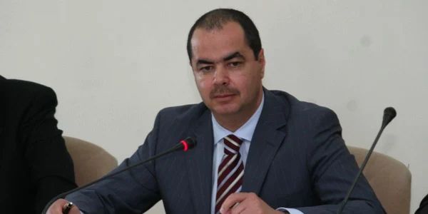 Mihai Stănişoară, prim-vicepreşedinte PDL