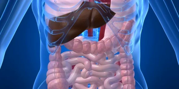 Fiecare organ are o funcţie clară, arareori opţională