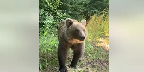 urs Romania Turistica