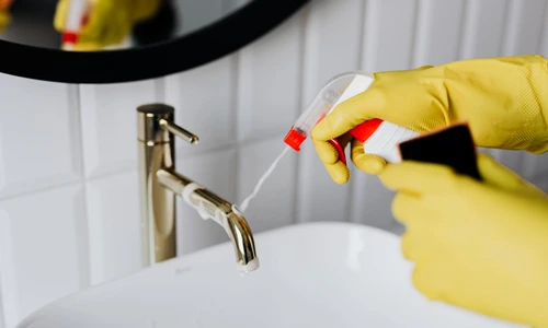 1 pexels karolina grabowska 4239130 jpg jpeg