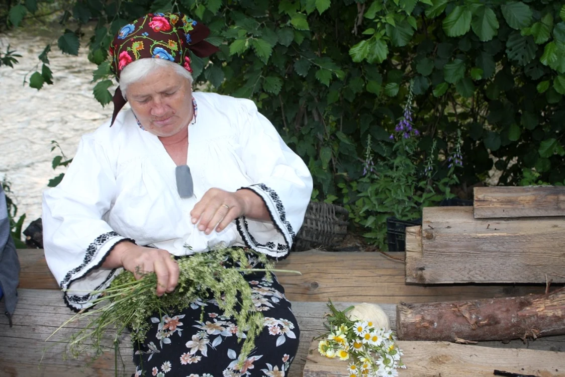 sanziene bistrita 4