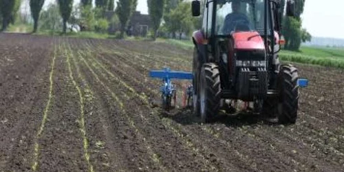 Paşii de înscriere la „Primul Siloz“