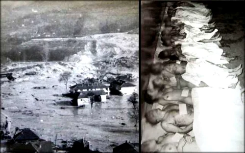 certej 1971 sursa arhivele nationale judetul Hunedoara