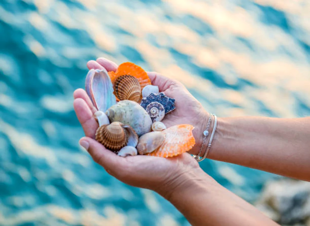 Feng Shui ne spune să nu ținem aceste obiecte în casă / foto: IStock
