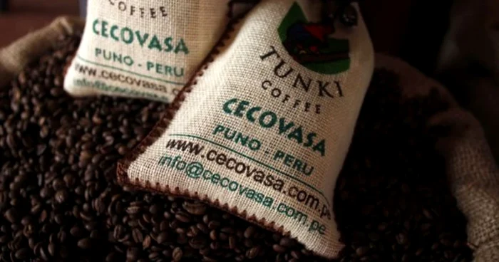 Schimbările climatice extreme ar putea distruge recoltele de cafea