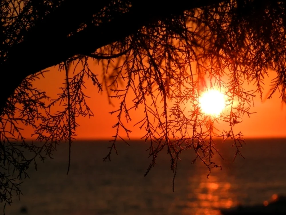 Solstiţiul de vară 2019  21 iunie, cea mai lungă zi din an jpeg