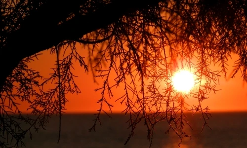 Solstiţiul de vară 2019  21 iunie, cea mai lungă zi din an jpeg