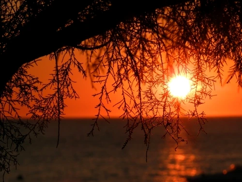 Solstiţiul de vară 2019 21 iunie, cea mai lungă zi din an jpeg