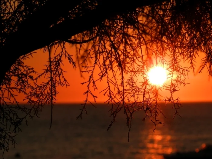 Solstiţiul de vară 2019  21 iunie, cea mai lungă zi din an jpeg