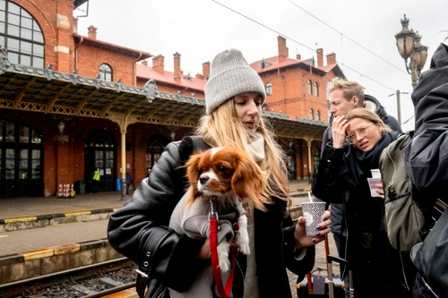 Refugiații ucraineni vor plăti o parte din costuri în Polonia / Foto: Arhivă