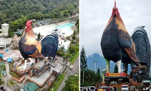 hotel cocos filipine guinness world records jpg