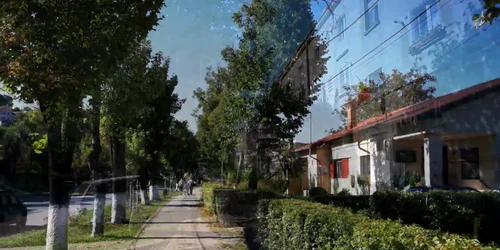 61337acd5163ec4271dcadd6 jpg