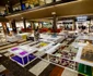 Expo Pavilionului României de la Veneția la mall FOTO Iulius Town