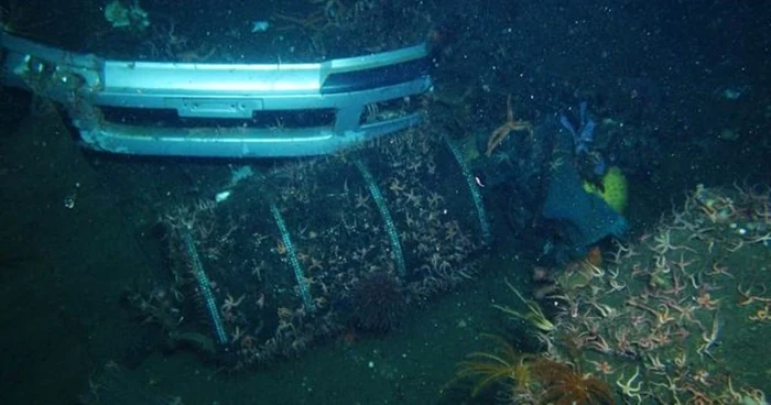 Resturi aflate sub mare dupa tsunami-ul din Japonia FOTO AMSTEC/TEAMS via BBC