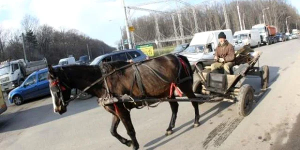 Cei doi bărbaţi transportau dalele din beton cu ajutorul unei căruţe