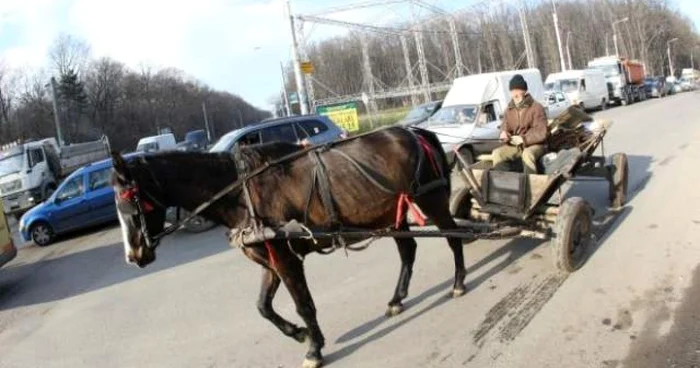 Cei doi bărbaţi transportau dalele din beton cu ajutorul unei căruţe