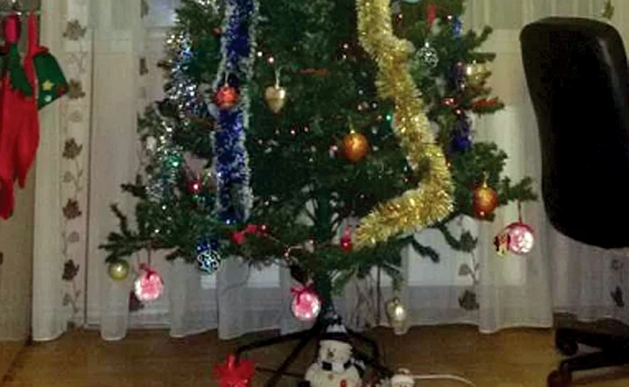 Cu preţuri cuprinse între 60 şi 150 de lei poţi cumpăra un brad de toată frumuseţea, gata împodobit