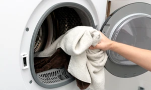 shutterstock 2633839847 jpg