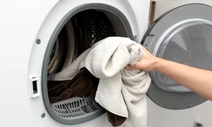 shutterstock 2633839847 jpg