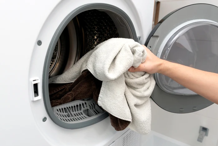 shutterstock 2633839847 jpg