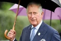 regele charles jpg