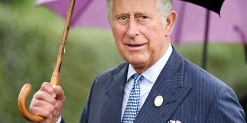 regele charles jpg
