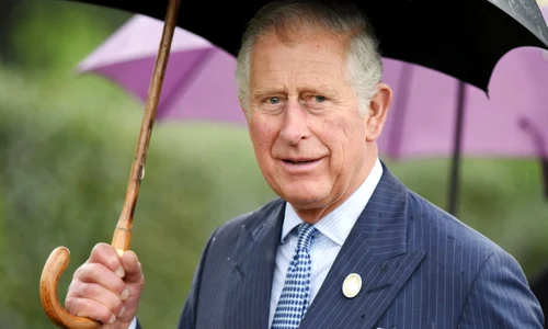 regele charles jpg