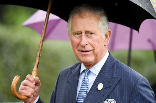 regele charles jpg