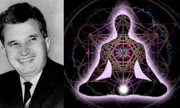 Meditația Transcendentală, afacere de partid png