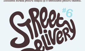 Street Delivery 2011 jpeg