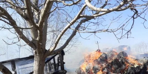 incendiu gorbanesti