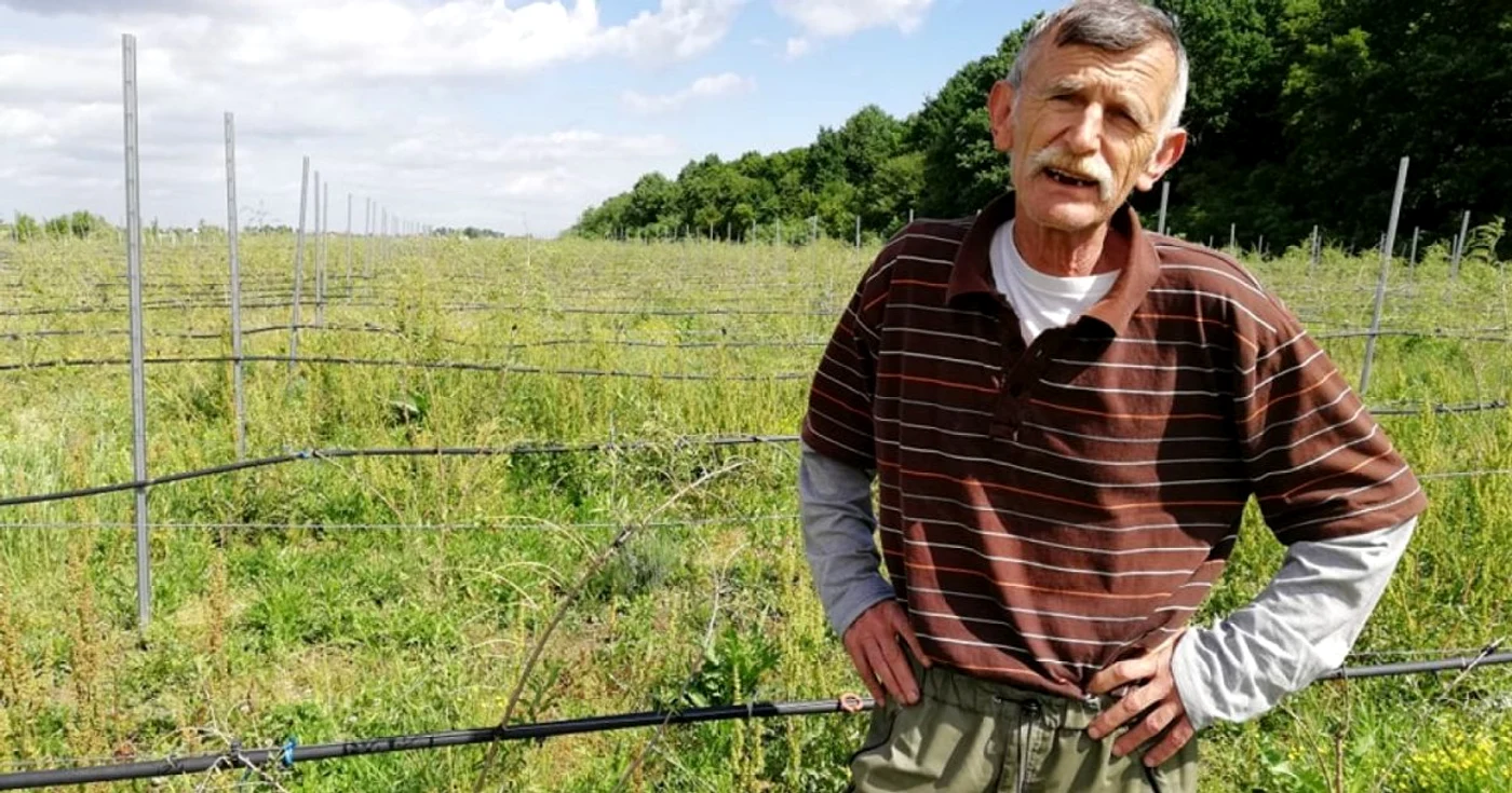 Emeric Kolbaszer a căutat singur situaţia terenului în arhivele primăriei pentru a-şi căuta dreptatea - foto: Adrian Caraba