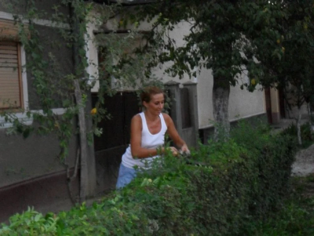 Crina Abrudan tunde gardul din gospodăria bunicilor din Ineu