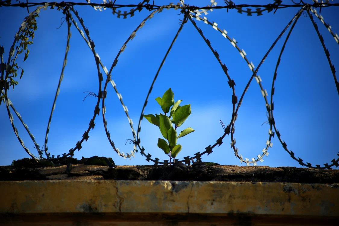 Bărbatul a ajuns după gratii FOTo: Pixabay