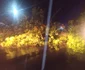 Copaci smulși din rădăcini și doborați de vântul puternic în județul Vâlcea Foto ISU Vâlcea