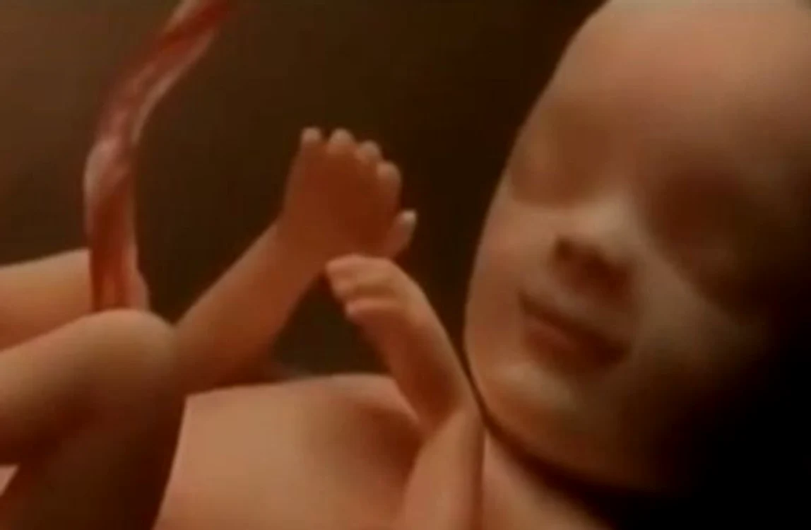 
    Aceste imagini vă arată miracolul vieţii de la concepţie, până la naştereFoto: Captură Youtube  